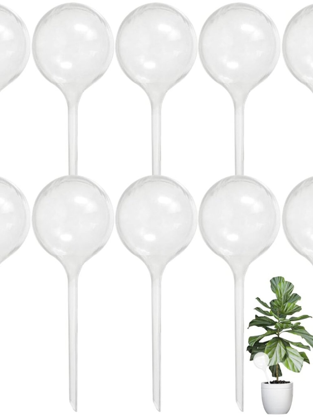 10 PCS Large Clear Plastic Watering Globes,Plant Self-Watering Bulbs,Flower Auto